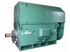 YJTG-315L1-2A/160KWYKK系列高压电机