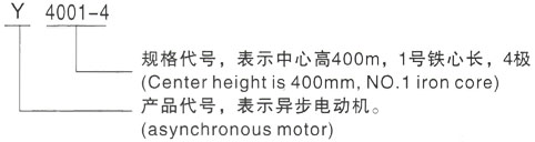 西安泰富西玛Y系列(H355-1000)高压YJTG-315L1-2A/160KW三相异步电机型号说明